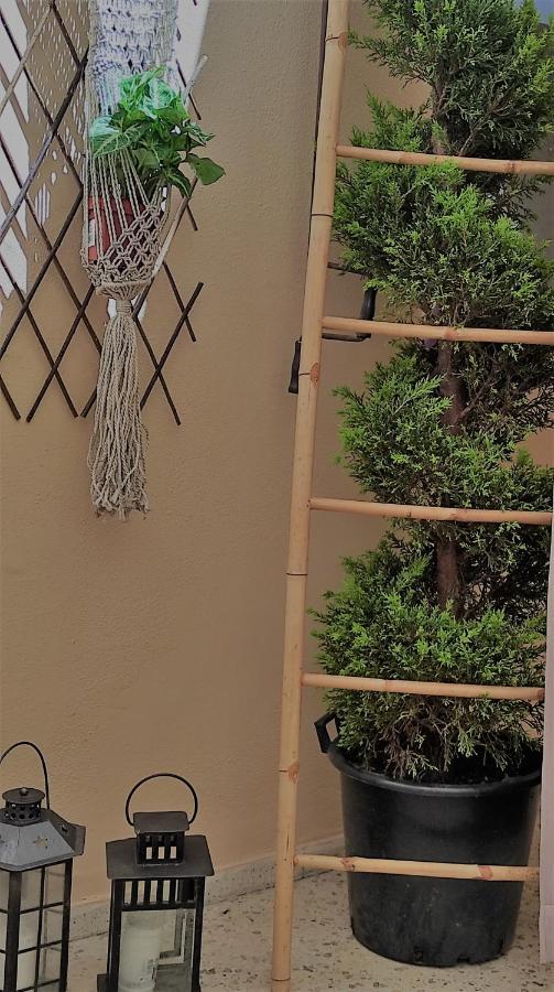 אתונה Acropolis Living Room מראה חיצוני תמונה